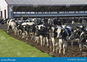 AGRICULTURE ONLY